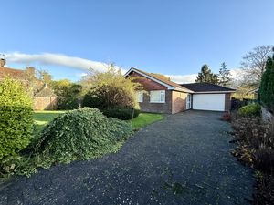 Photo 1- click for photo gallery